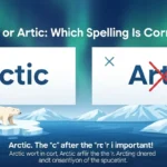 Arctic or Artic